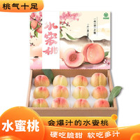 冰果乐 无锡水蜜桃 当季新鲜水果 12枚礼盒装5斤 单果约4-5两