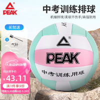 PEAK 匹克 排球中考专用比赛5号经典机缝PVC儿童男女学生训练排球白/海兰