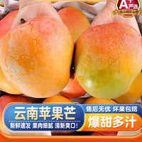 风之郁 云南 苹果澳芒 4.5斤 单果350g+
