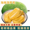 菠萝蜜海南特产当季热带水果新鲜采摘整个香甜可口 25-30斤（香甜爽口）