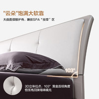 QuanU 全友 家居新款现代轻奢板式床主卧室1.8米双人床1.5米软靠床126003