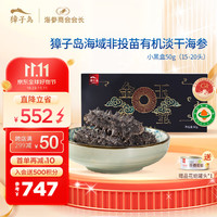 獐子岛（ZONECO SEAFOOD）原产地有机 大连淡干海参礼盒 含盐≤10% 京东好海参 15倍泡发率 小黑盒 淡干50g（15-20头）