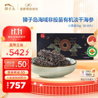 獐子岛（ZONECO SEAFOOD）原产地有机 大连淡干海参礼盒 含盐≤10% 京东好海参 15倍泡发率 小黑盒 淡干50g（9-12头）