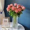 九月生香槟玫瑰花5支仿真花假花束绢布植物客厅装饰插花母亲节礼物