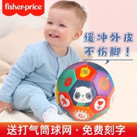 Fisher-Price 儿童玩具皮球（直径15cm)
