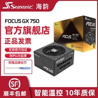 百亿补贴：Seasonic 海韵 FOCUS GX系列 金牌 (90%) 全模组ATX电源