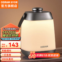 OSRAM 欧司朗 12点开始：OSRAM 欧司朗 手提无极调光充电小夜灯