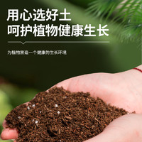 元泰丰营养土养花通用专用种花兰花月季花泥有机园艺盆栽绿植土壤