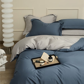 AIDLI 100支全棉贡缎新疆长绒棉双拼四件套 200*230cm
