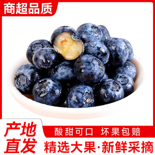 云南蓝莓现货 中果【每盒120-125克】