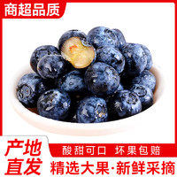 微笑果园 云南蓝莓现货 中果【每盒120-125克】