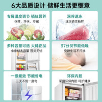 CHIGO 志高 冰箱家用小型宿舍租房用双开门三门冷藏冷冻2803