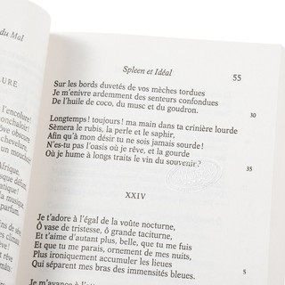 恶之花（法文版） 法文原版 外国诗歌 Les Fleurs du Mal 波德莱尔 #62