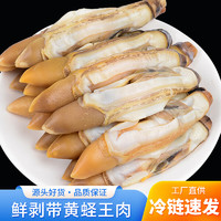 新鲜 现剥 冷冻 竹节蛏 蛏王肉 *3斤
