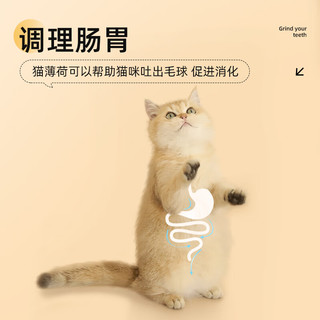 Hoopet 华元宠具（hoopet）猫薄荷球猫玩具猫咪木天蓼逗猫磨牙洁齿棒零食自嗨宠物用品玲珑球