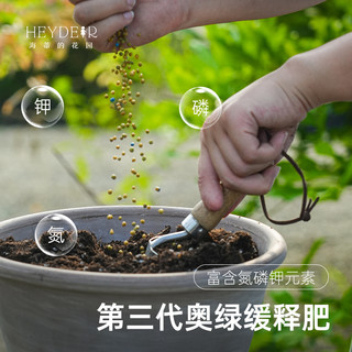 奥绿缓释肥月季绣球郁金香花卉盆栽家用通用型植物花肥