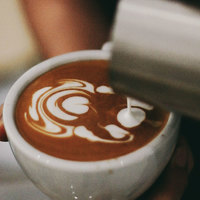 S.ENGINE 鹰集 精品咖啡豆454g 猫头鹰系列中深烘焙 香醇手磨咖啡粉