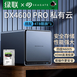 SEAGATE 希捷 DX4600PRO 四盘位NAS存储 （赛扬N6005、8GB）+希捷酷狼 机械硬盘 4TB