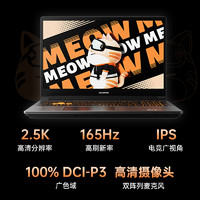 COLORFUL 七彩虹 橘宝MEOW R15 AMD锐龙R7-7735H /4060独显直连AIPC电竞游戏笔记本电脑