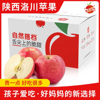 自然搭档 洛川苹果陕西延安红富士糖心苹果水果新鲜水果 礼盒时令水果 5斤装（净重4.5-5斤 单果170g+）