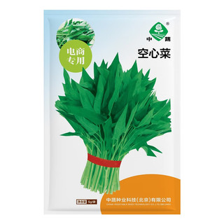 京农研中国农科院蔬菜种子大全香菜种籽芝麻菜甜瓜光头芥菜豆角菜种籽孑 中蔬空心菜5克