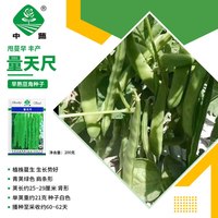 京农研中国农科院蔬菜种子大全香菜种籽芝麻菜甜瓜光头芥菜豆角菜种籽孑 中蔬量天尺200克