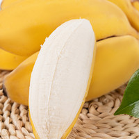天猫超市 禁止焦虑香蕉苹果蕉现摘现发新鲜自然熟水果香蕉香甜软糯米蕉