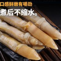 百亿补贴：东上御品 特大蛏王肉新鲜无沙蛏子肉冷冻竹节蛏圣子肉贝类鲜活批发