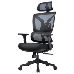 菲迪-至成 F181 人体工学椅 海绵座垫+2D扶手+3D腰托-黑升级版
