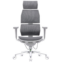 工学至尊 i5 骶位支撑人体工学椅家用电脑椅办公椅子老板椅电竞椅