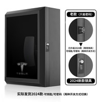 BRADELIS特斯拉比亚迪充电桩保护箱立柱理想小鹏蔚来宝马新能源户外家用 TSL(24款钥匙密码锁)