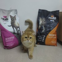 nulo諾樂兩款熱銷貓糧真實測評，該選自由天性還是金牌系列呢？