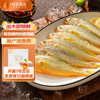 One's Member 1號會員店冷凍東海海捕小黃魚 1kg(500g*2袋) 30-36條 生鮮魚類 海鮮水產
