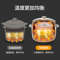 88VIP：Bear 小熊 隔水炖电炖盅家用电炖锅煲汤锅婴儿辅食锅陶瓷煮粥神器2.5升