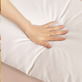 清仓处理：罗莱（LUOLAI）家纺 枕头枕芯纤维枕舒弹压花对枕 舒弹压花呵护对枕 X