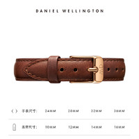 Daniel Wellington DanielWellington）DW表帶12mm皮帶玫瑰金針扣女款DW00200184（適用于28mm表盤系列）