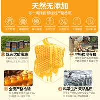 寶生園 中華寶生園雪蜜椴樹蜂蜜結晶蜂蜜禮盒裝多規格便攜裝500g*1