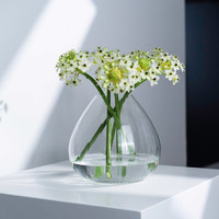 BOHEMIA 捷克進口歐式水晶玻璃餐桌小花瓶擺件結婚球形家居飾品