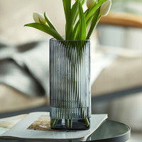 BAIJIE 拜杰 玻璃花瓶 北欧风半透明三角竖条纹花瓶 客厅桌面水培皿玻璃花器