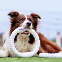 88VIP：GiGwi 貴為 狗狗玩具飛盤狗專用飛盤耐咬金毛邊牧寵物訓狗訓練飛環