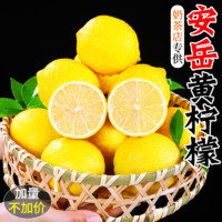 others 其他 四川安岳黄柠檬500g