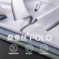 Virtue 富绅 莫代尔舒爽桑蚕丝POLO 8色选