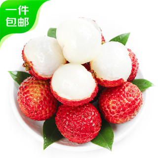 广东高州白糖罂荔枝 净重2.8斤装 新鲜水果 源头直发包邮