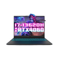 機械革命 曠世G16 16英寸游戲本（i7-13620H、RTX4060、16GB、512GB SSD、2.5K、165Hz）