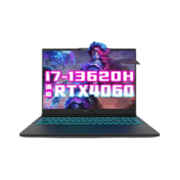 机械革命 旷世G16 16英寸游戏本（i7-13620H、RTX4060、16GB、512GB SSD、2.5K、165Hz）