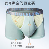 Holelong 活力龙 HCP018 抗菌内裤 三条装