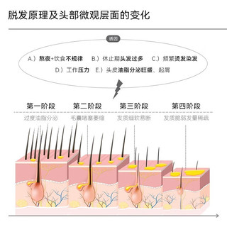 哈恩店防脱发洗发水侧柏叶洗头膏露辉影授权植物洗发水 防脱洗发水*1+头发精华液*2