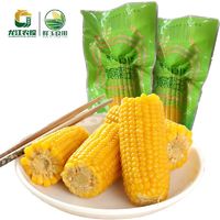 农投康良 新鲜黄糯玉米10棒整箱真空独立包装非转基因国企品质保证加热即食
