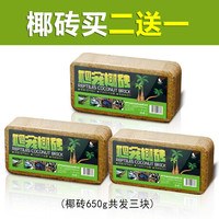 金利佳（Jeneca）爬宠苔藓棷土乌龟爬虫冬眠保暖无菌椰砖垫材产卵池场地布景种绿槙