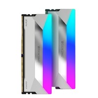 PLUS会员：BIWIN 佰维 DX100 DDR5 6000MHz 台式机内存RGB灯条 32GB（16GB*2）